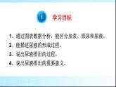 濟(jì)南版七年級(jí)下冊(cè)生物 4.1尿液的形成和排出 課件
