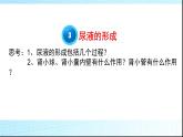 濟(jì)南版七年級(jí)下冊(cè)生物 4.1尿液的形成和排出 課件