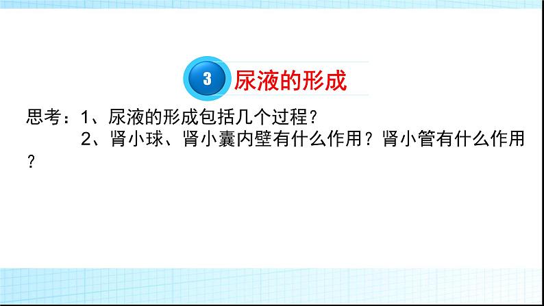 济南版七年级下册生物 4.1尿液的形成和排出 课件第5页