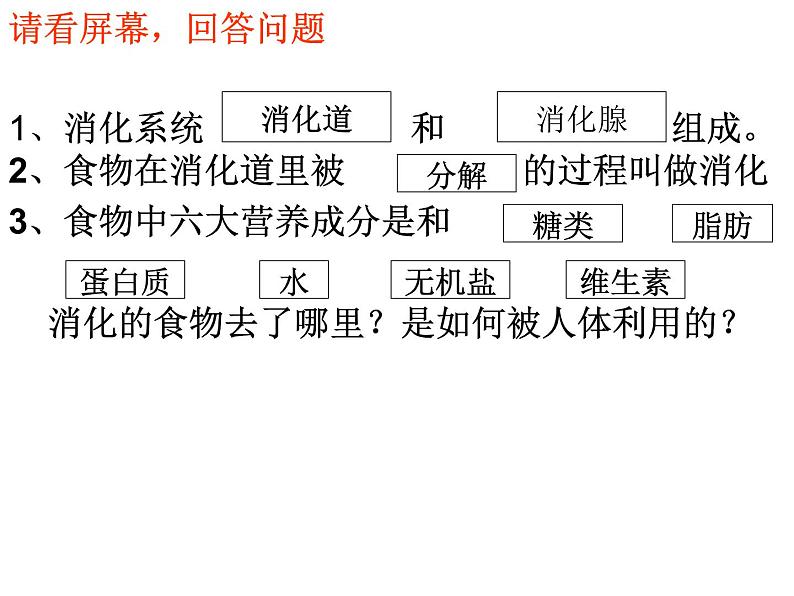 冀教版七年级下册生物 1.3营养物质的吸收和利用 课件第2页