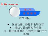 苏教版七年级下册生物 10.2人体的血液循环 课件