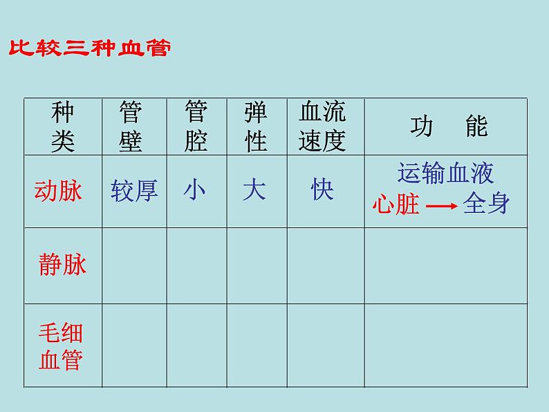 苏教版七年级下册生物 10.2人体的血液循环 课件07