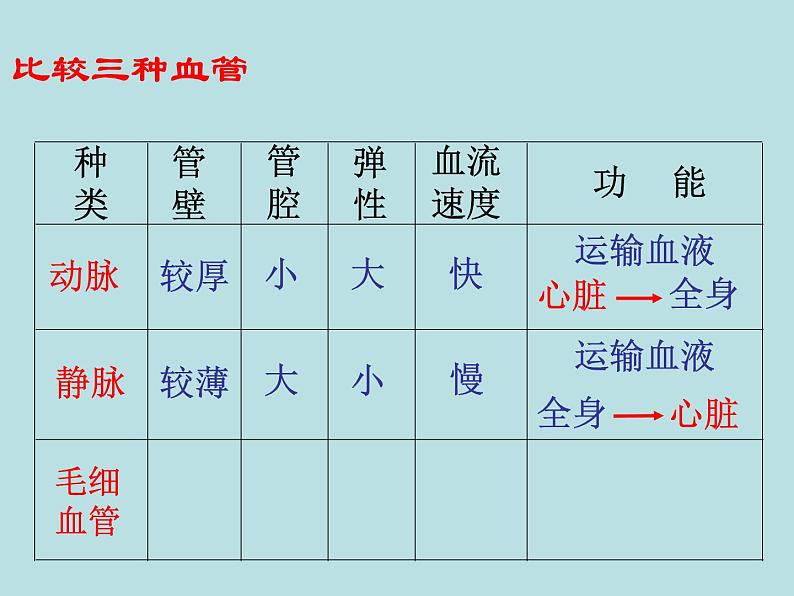 苏教版七年级下册生物 10.2人体的血液循环 课件08