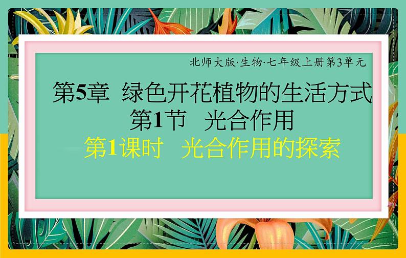 5.1.1《光合作用的探索》课件PPT+教案+同步练习01