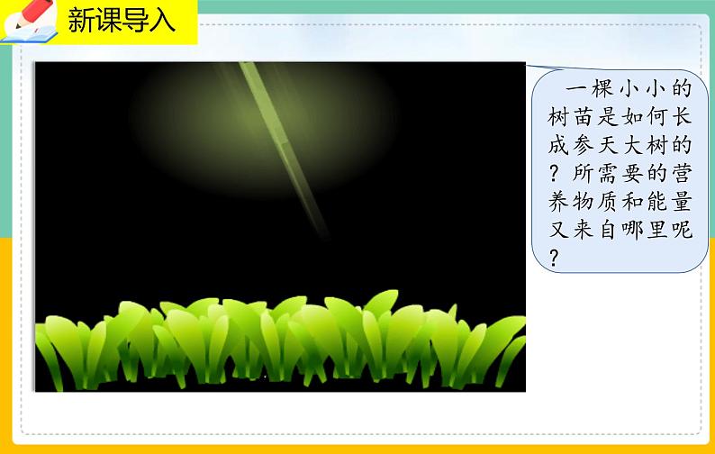 5.1.1《光合作用的探索》课件PPT+教案+同步练习02