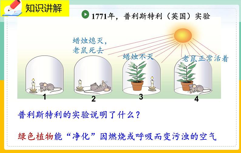 5.1.1《光合作用的探索》课件PPT+教案+同步练习05
