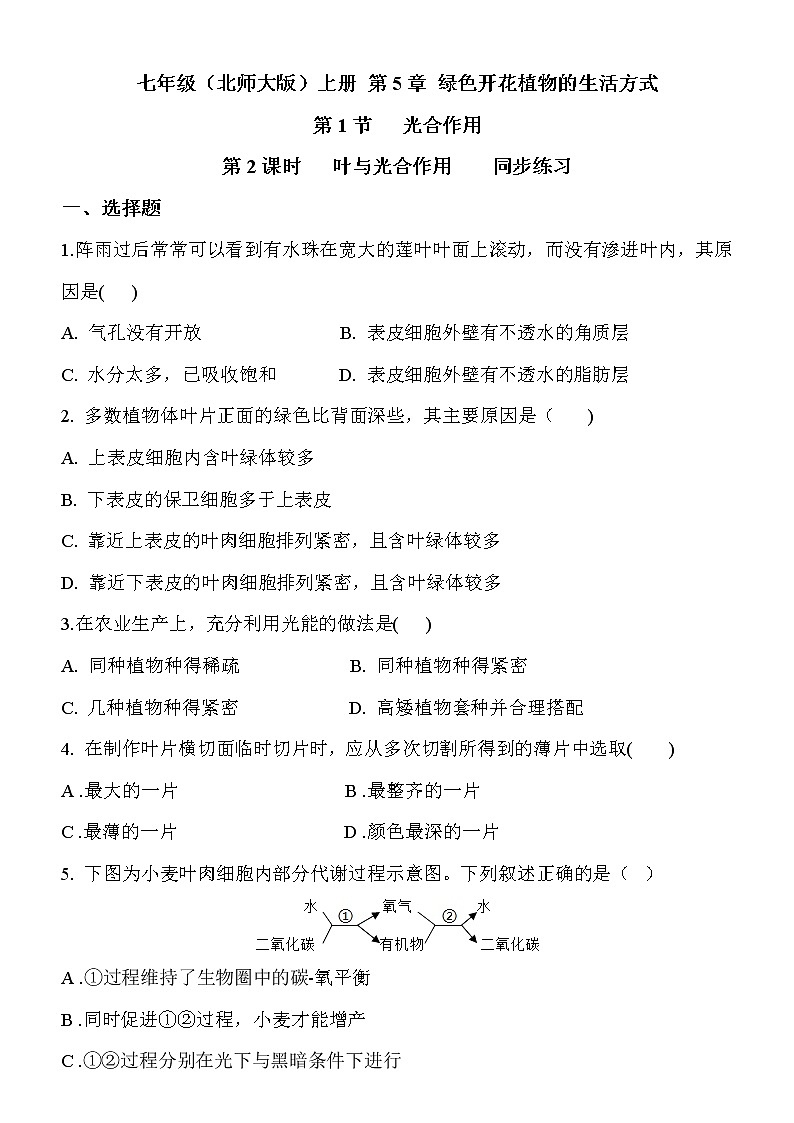 5.1.2《叶与光合作用》课件PPT+教案+同步练习01