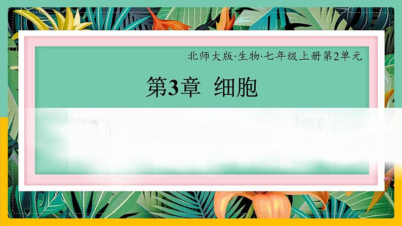 3.3《细胞通过分裂而增殖》课件PPT+教案+同步练习01