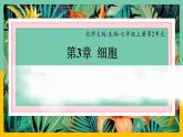 3.3《细胞通过分裂而增殖》课件PPT+教案+同步练习