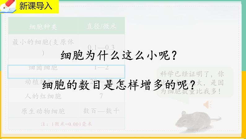 3.3《细胞通过分裂而增殖》课件PPT+教案+同步练习03