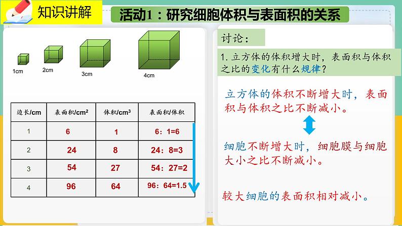 3.3《细胞通过分裂而增殖》课件PPT+教案+同步练习06