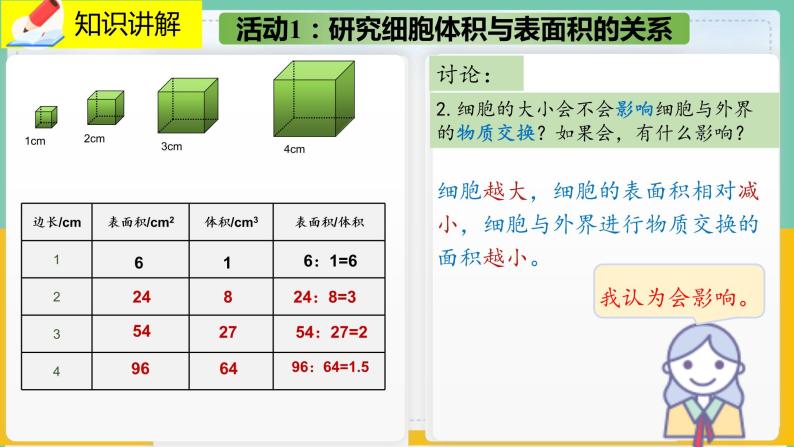 3.3《细胞通过分裂而增殖》课件PPT+教案+同步练习07