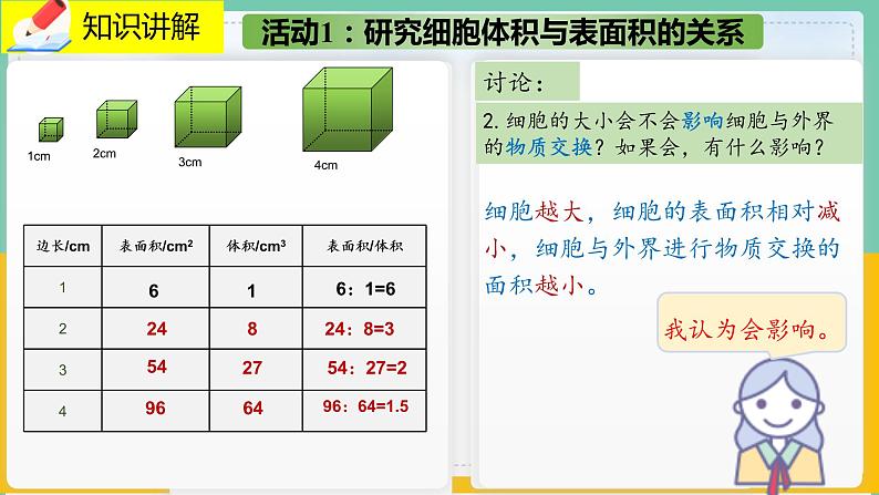 3.3《细胞通过分裂而增殖》课件PPT+教案+同步练习07