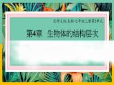 4.1《细胞分化形成形成组织》课件PPT+教案+同步练习