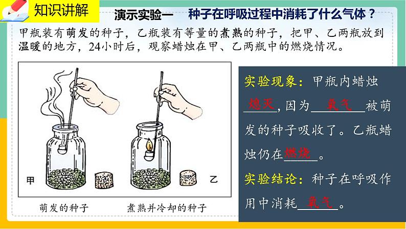 5.2《呼吸作用》课件PPT+教案+同步练习03