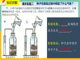 5.2《呼吸作用》课件PPT+教案+同步练习