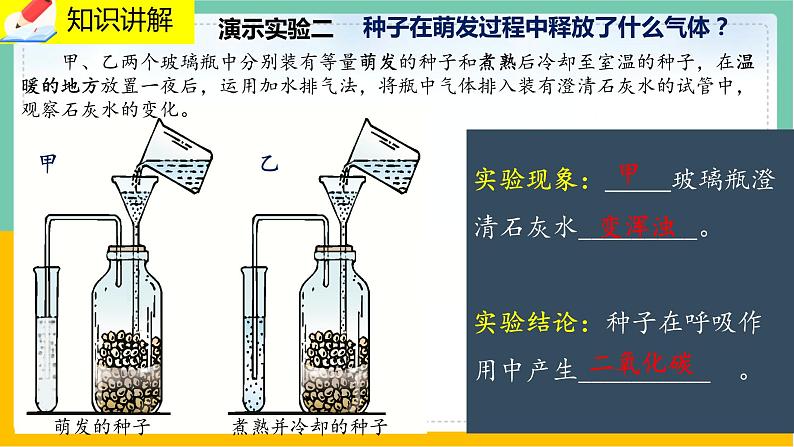 5.2《呼吸作用》课件PPT+教案+同步练习04