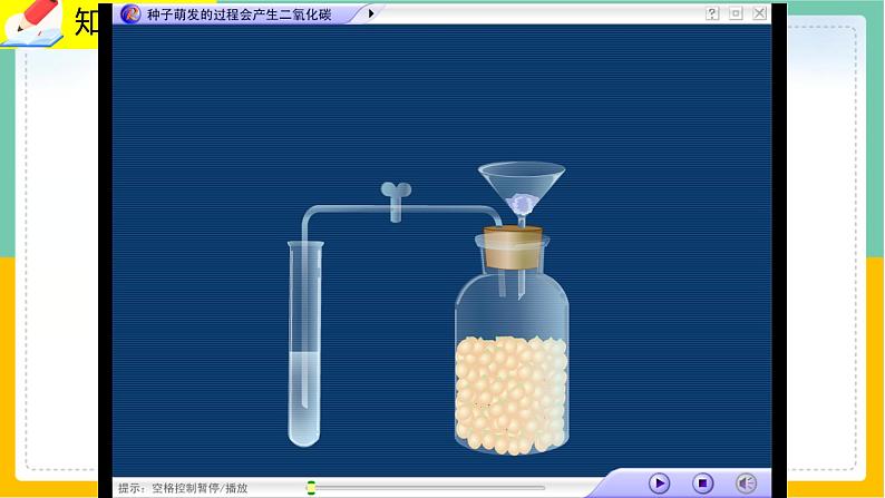 5.2《呼吸作用》课件PPT+教案+同步练习05