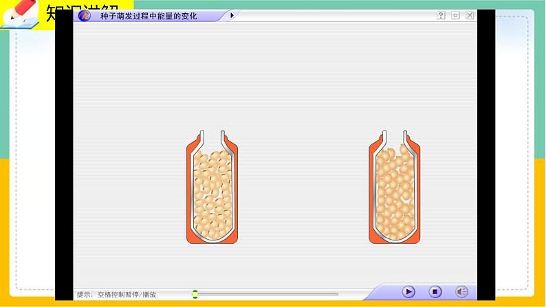 5.2《呼吸作用》课件PPT+教案+同步练习07