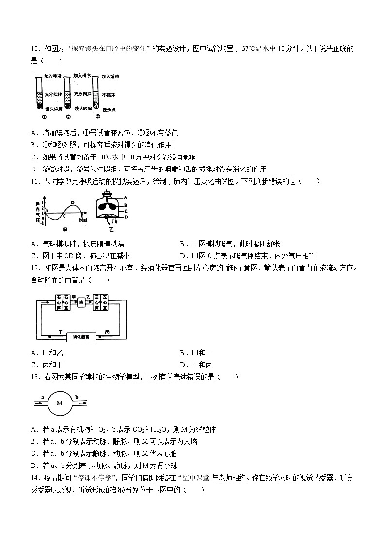 2022年山东省临沂市临沭县八年级下学期一模生物试题（无答案）03