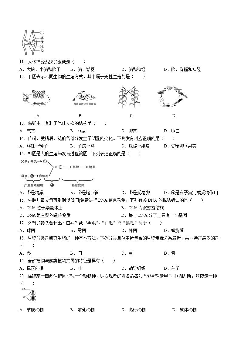 2022年福建省龙岩市中考一模生物试题（有答案）02