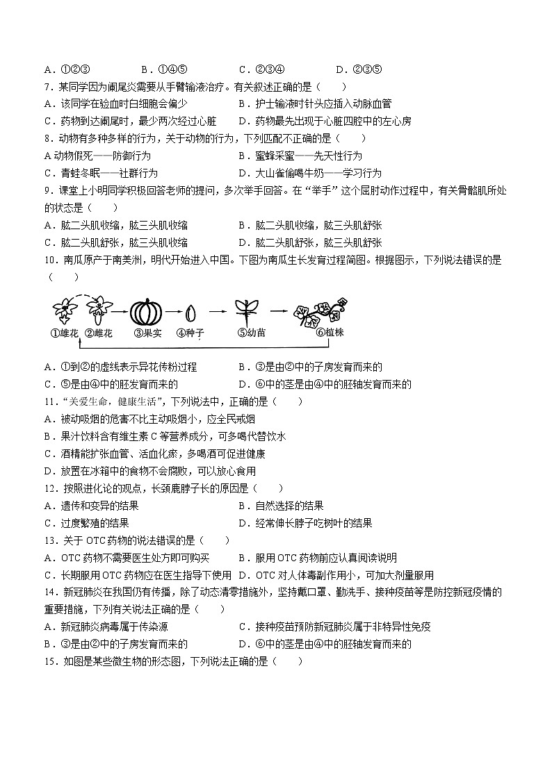 2022年广西北部湾经济区初中学业水平考试模拟生物试题（二模）（有答案）02