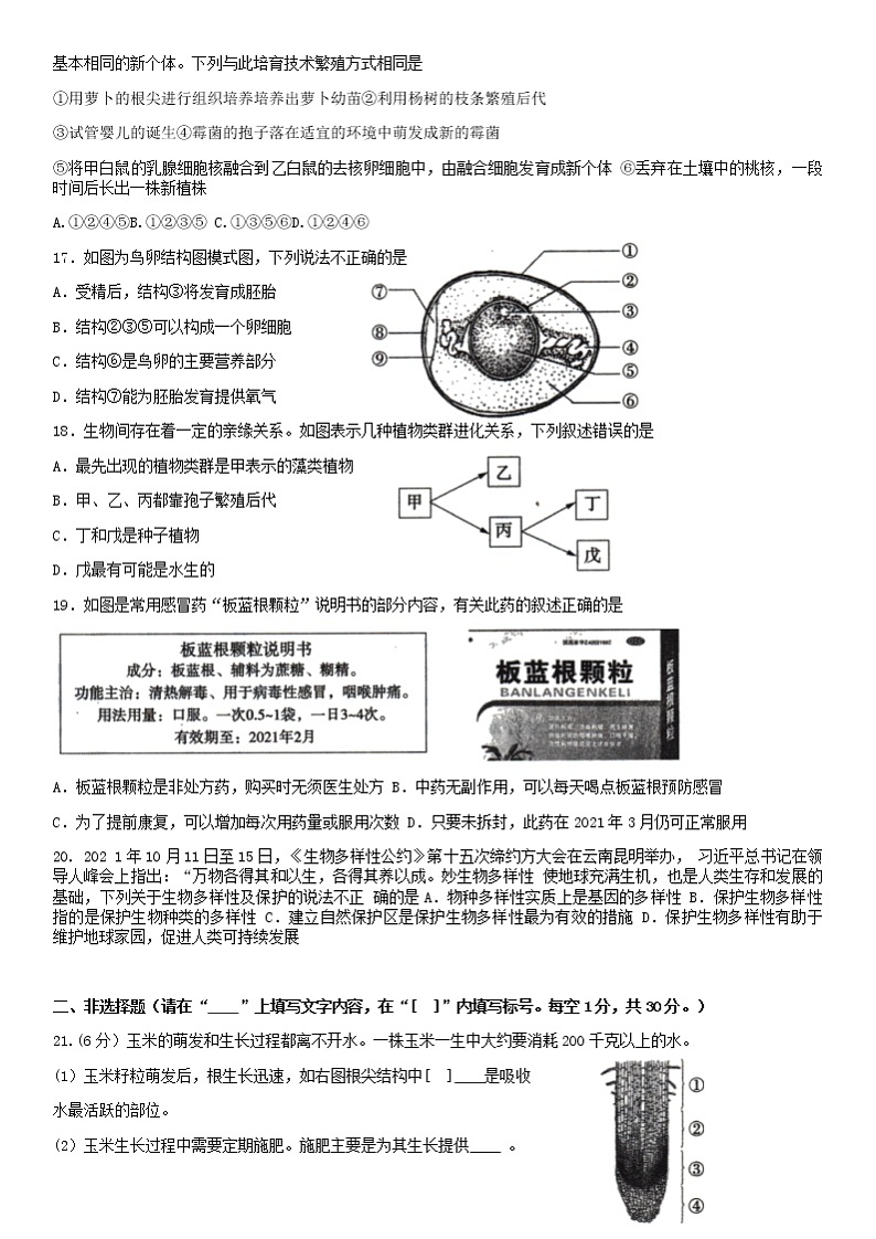 2022年河南省驻马店市泌阳县中招第二次模拟考试（二模）生物试卷（有答案）03