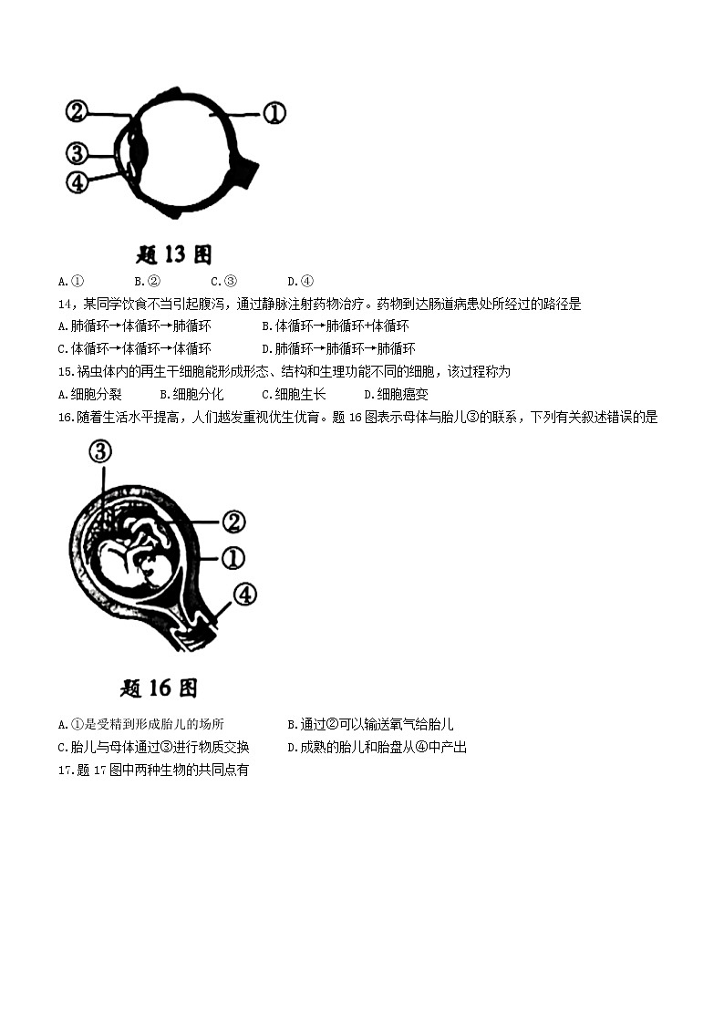 2022年广东省初中生学业质量监测联考第二轮（二模）生物试题（有答案）03