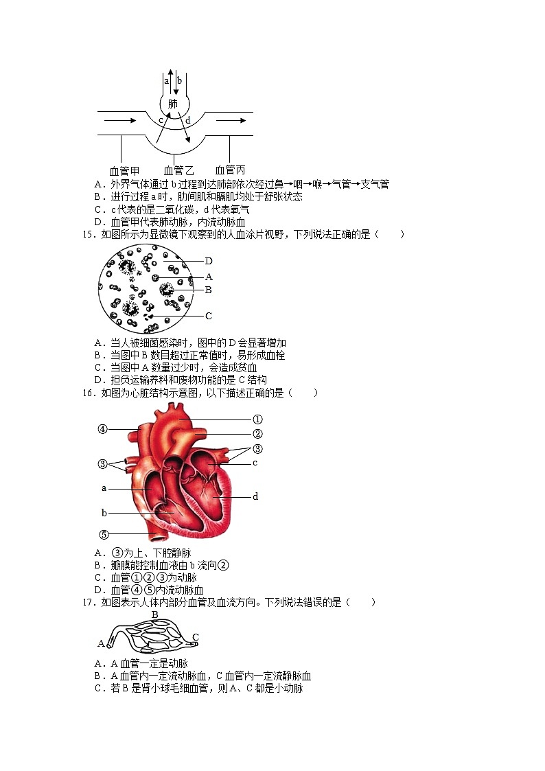 2022年甘肃省陇南市礼县第六中学(原盐官镇九年制学校)中考三模生物试卷（有答案）03