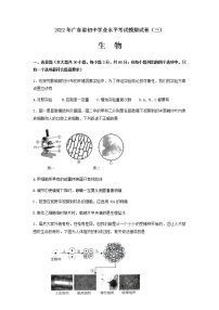 2022年广东省东莞市初中学业水平考试生物模拟测试卷(三)（无答案）