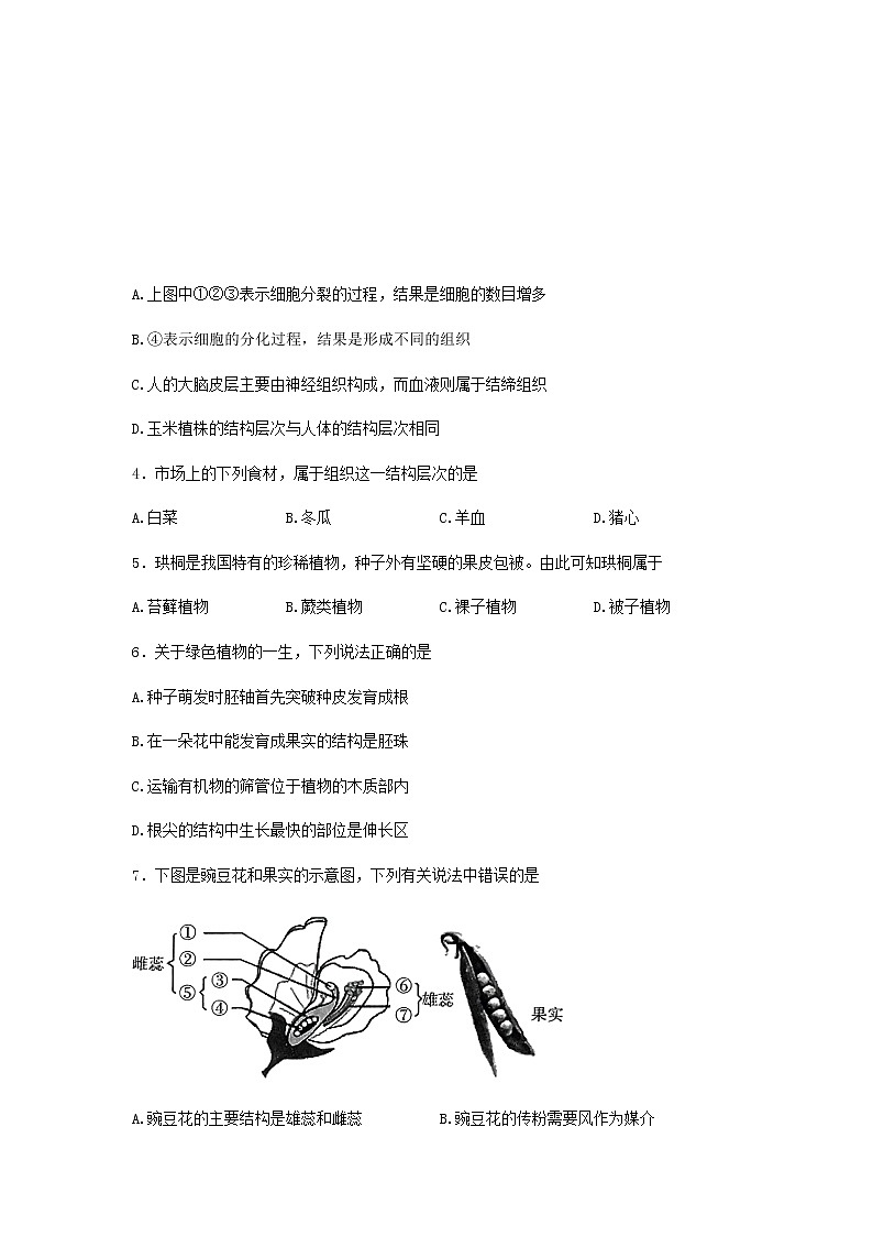 2022年广东省东莞市初中学业水平考试生物模拟测试卷(三)（无答案）02
