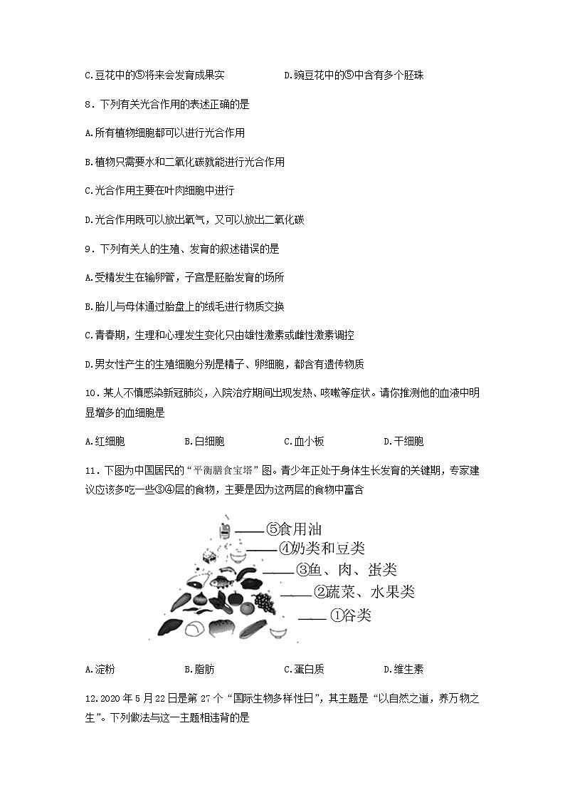 2022年广东省东莞市初中学业水平考试生物模拟测试卷(三)（无答案）03
