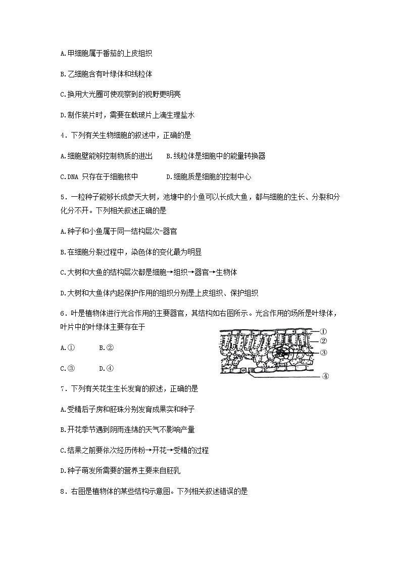 2022年广东省东莞市初中学业水平考试生物模拟测试卷(五)（无答案）02