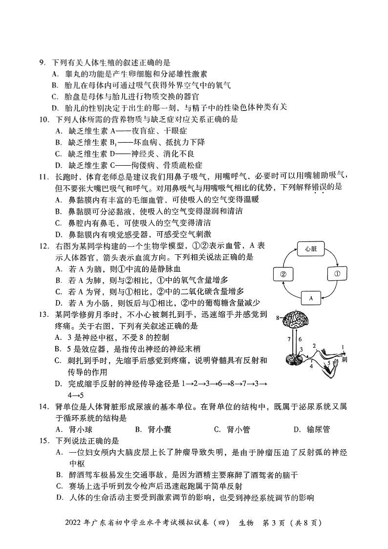 2022年广东省东莞市初中学业水平考试生物模拟测试卷(四)（无答案）第3页
