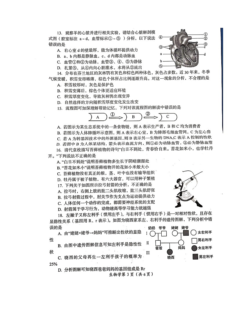 2022年河南省洛阳市中招模拟考试生物试卷（有答案）03