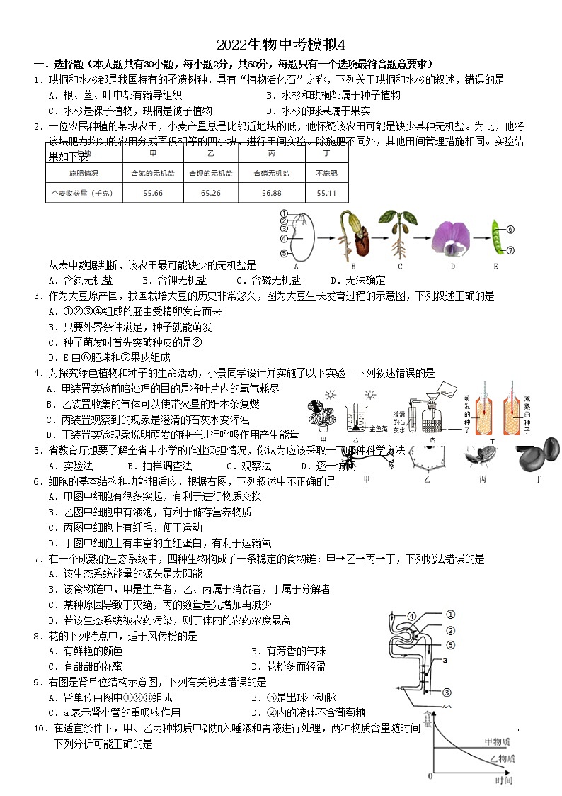 2022年广东省中考模拟4生物试题（有答案）01