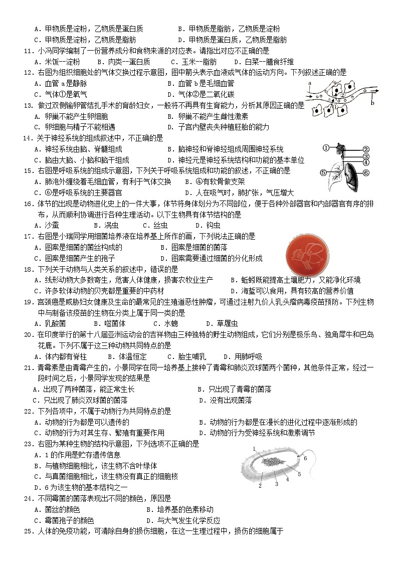 2022年广东省中考模拟4生物试题（有答案）02