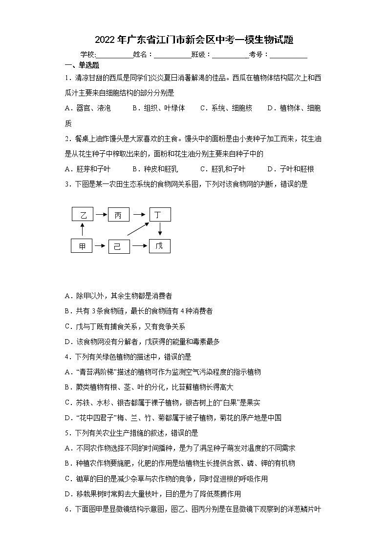 2022年广东省江门市新会区中考一模生物试题(word版含答案)01