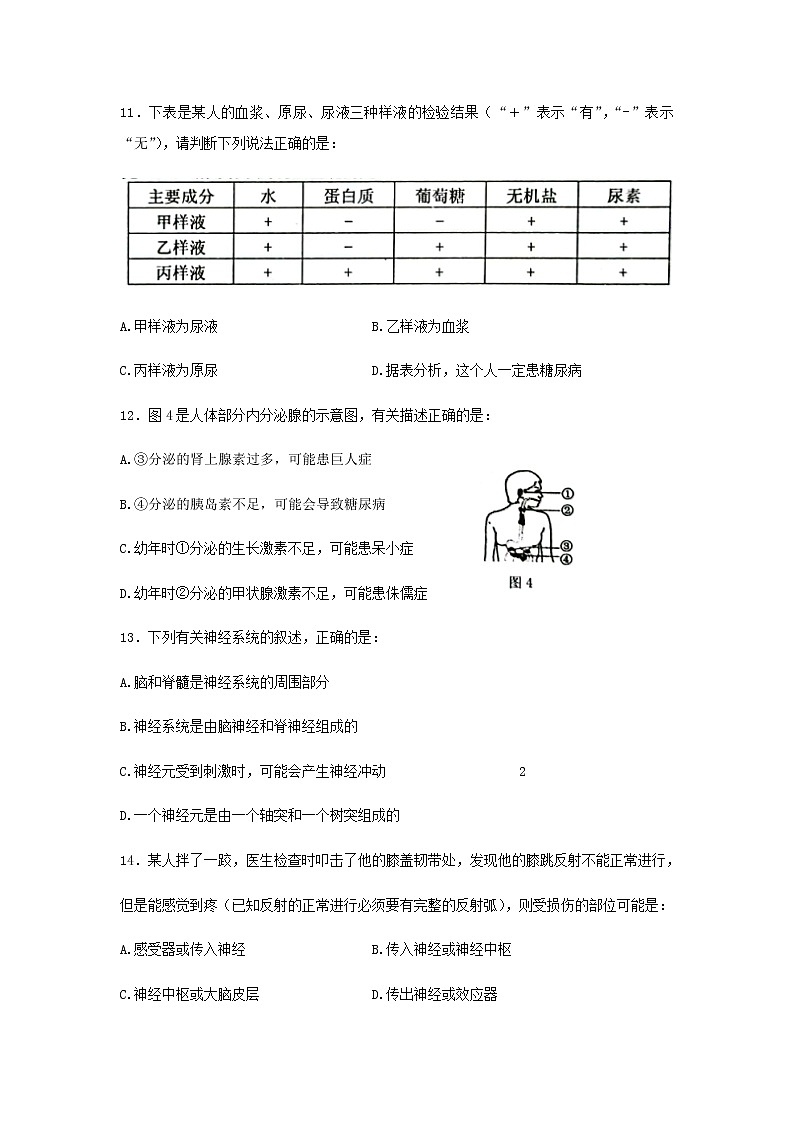 2022年广西贺州市初中学业水平模拟考试生物试题（二模）(word版含答案)03