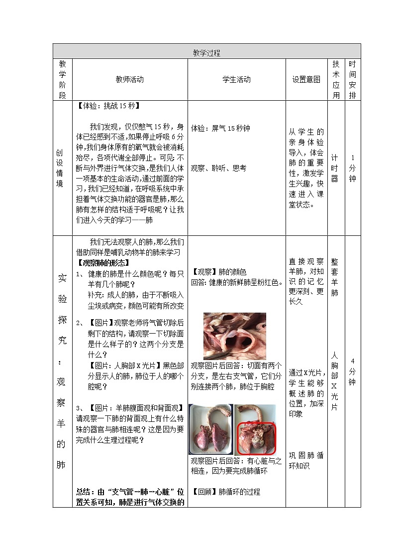 北京版7下生物 6.1.2肺  教案第3页