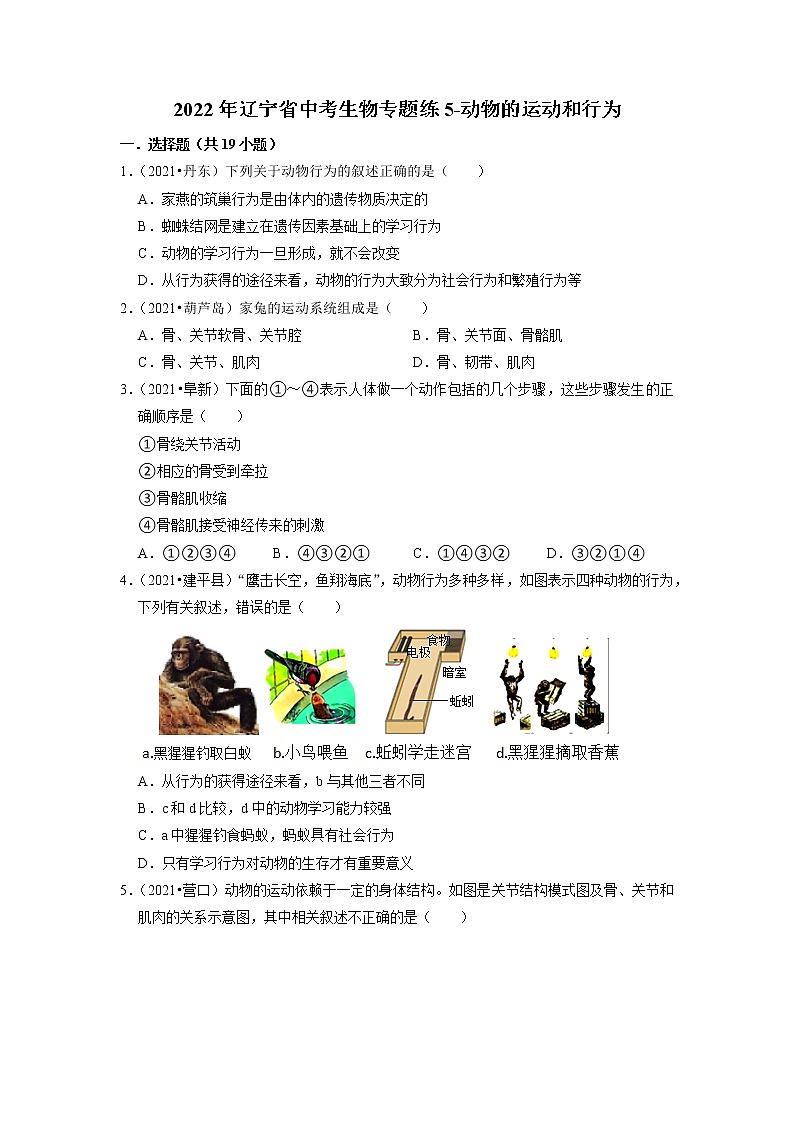 2022年辽宁省中考生物二轮专题练5-动物的运动和行为第1页