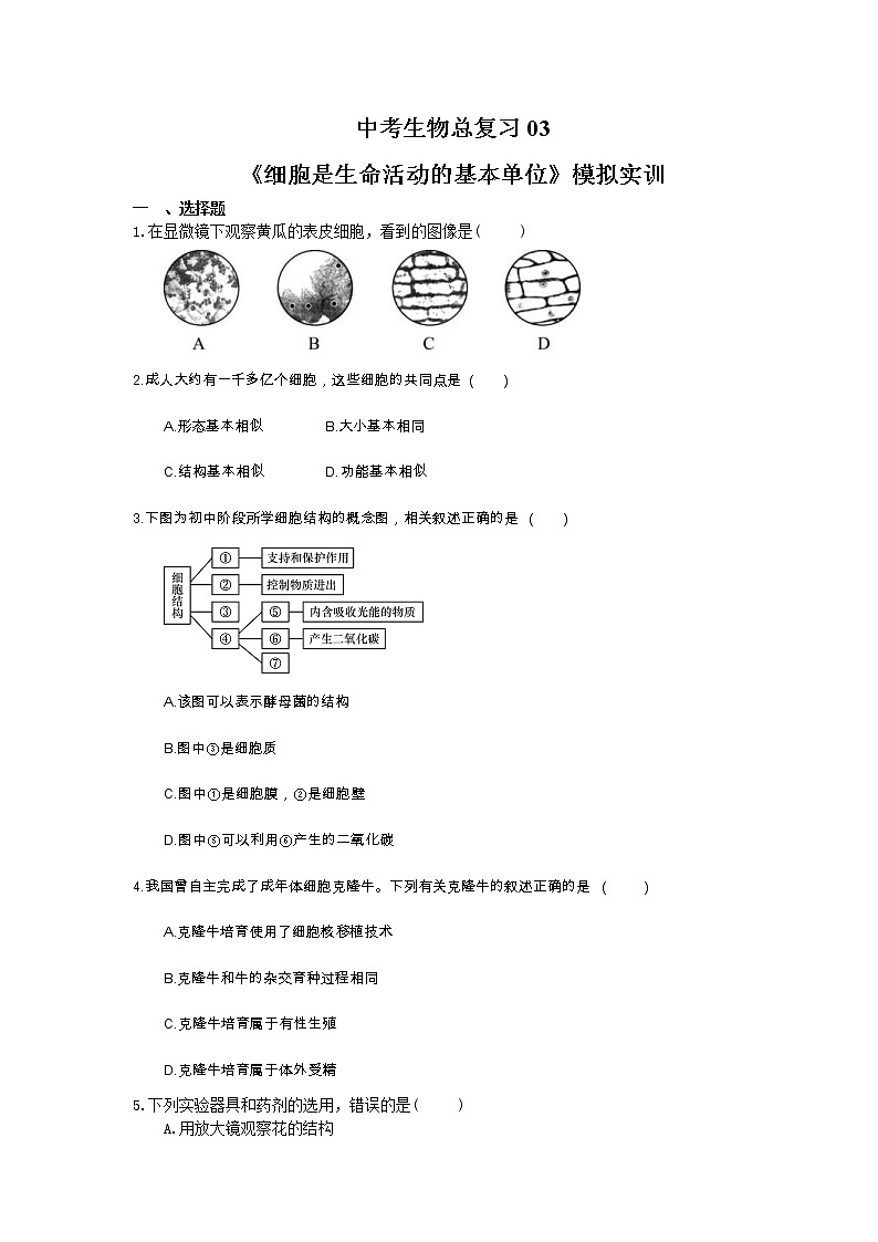 中考生物总复习03《细胞是生命活动的基本单位》模拟实训（含答案） 试卷01