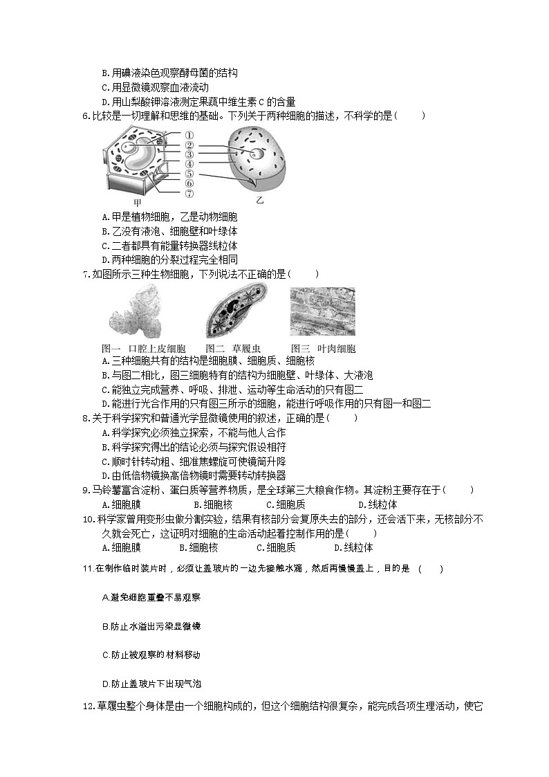 中考生物总复习03《细胞是生命活动的基本单位》模拟实训（含答案） 试卷02
