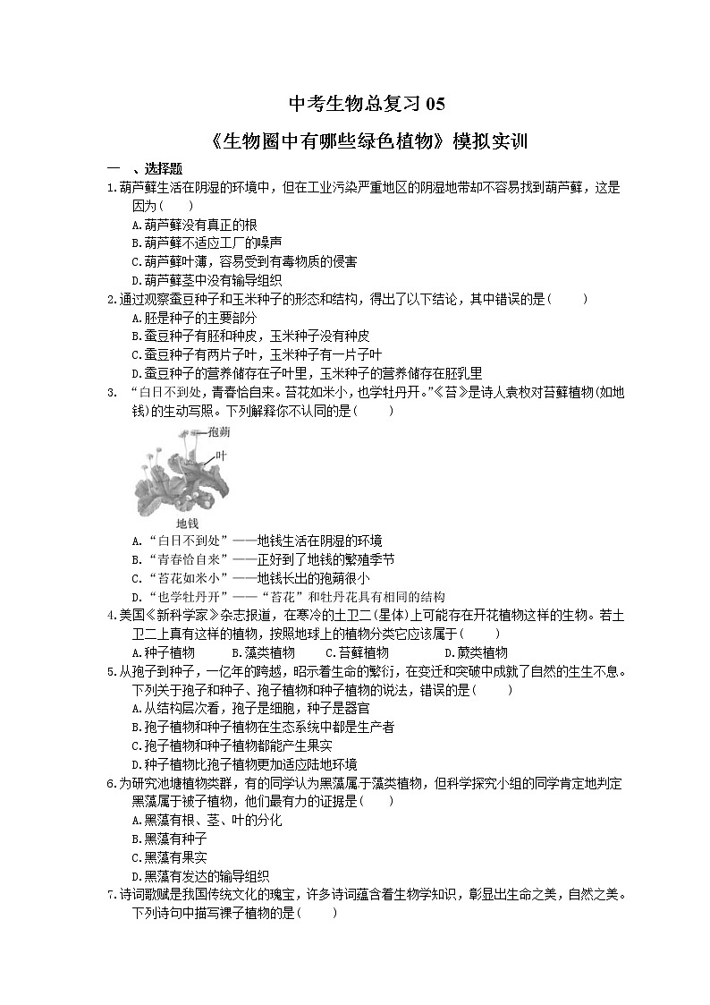 中考生物总复习05《生物圈中有哪些绿色植物》模拟实训（含答案） 试卷01