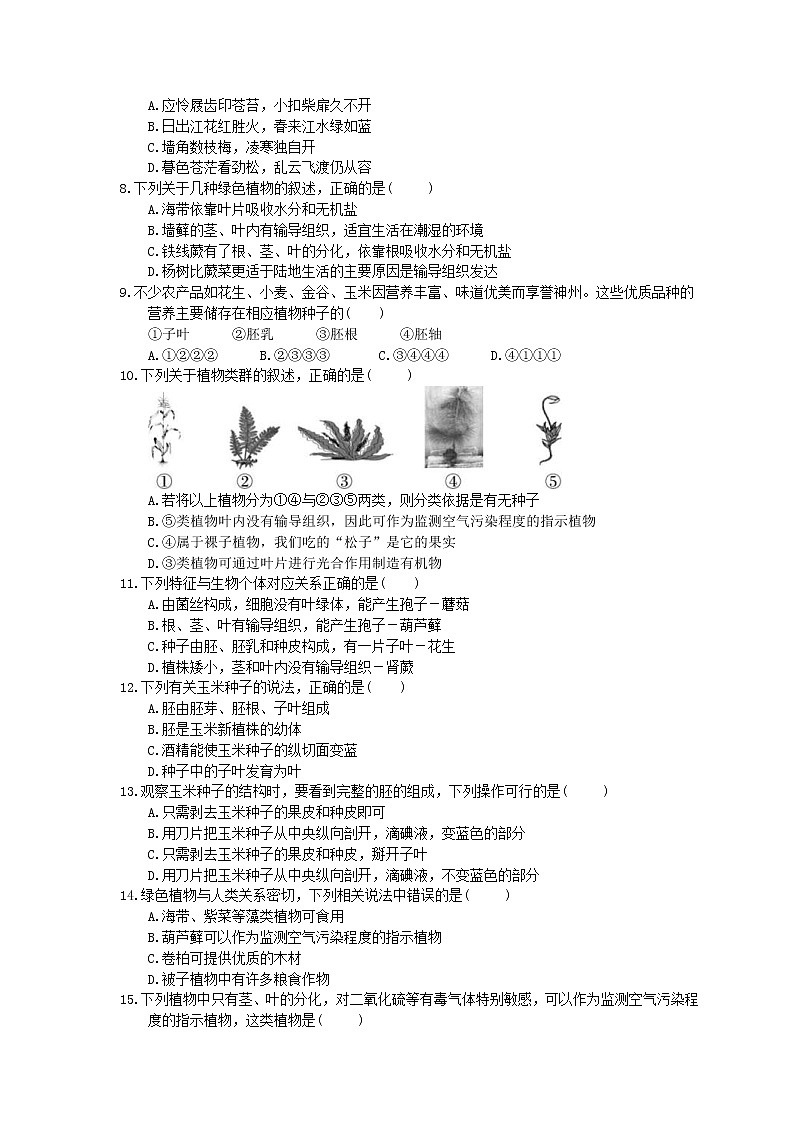 中考生物总复习05《生物圈中有哪些绿色植物》模拟实训（含答案） 试卷02