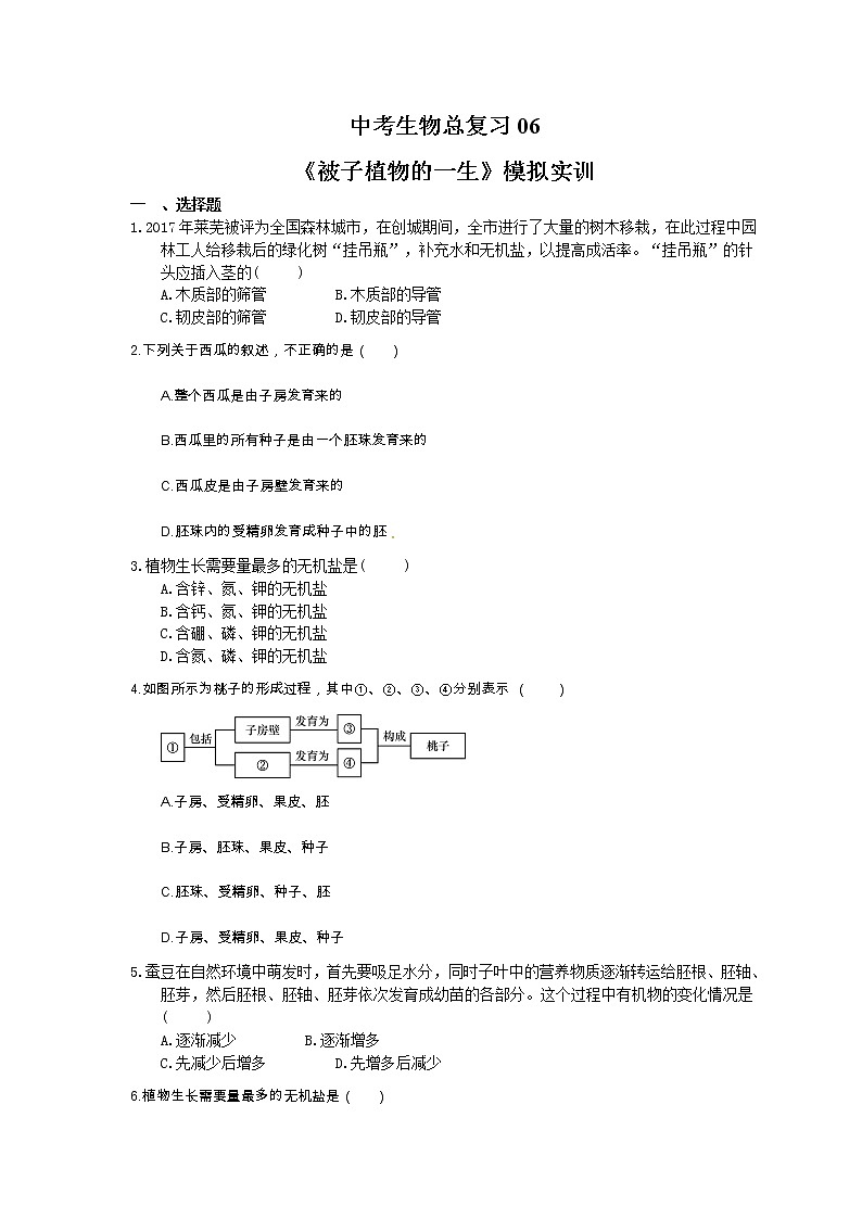中考生物总复习06《被子植物的一生》模拟实训（含答案） 试卷01