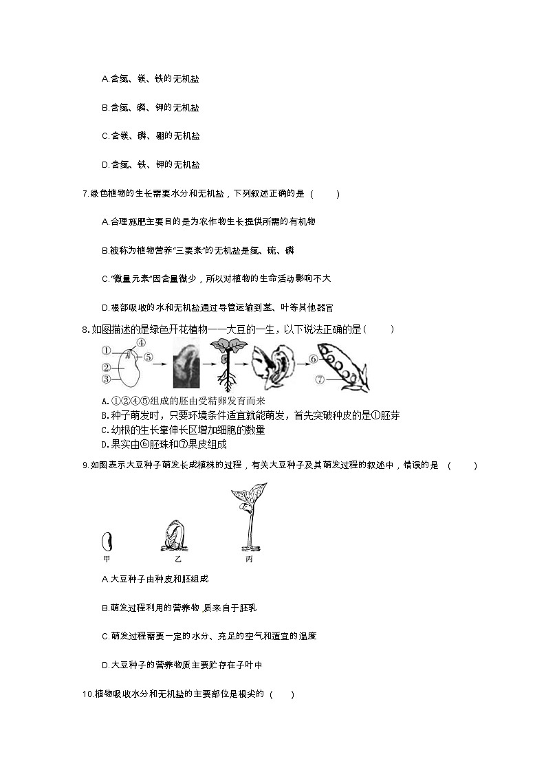 中考生物总复习06《被子植物的一生》模拟实训（含答案） 试卷02