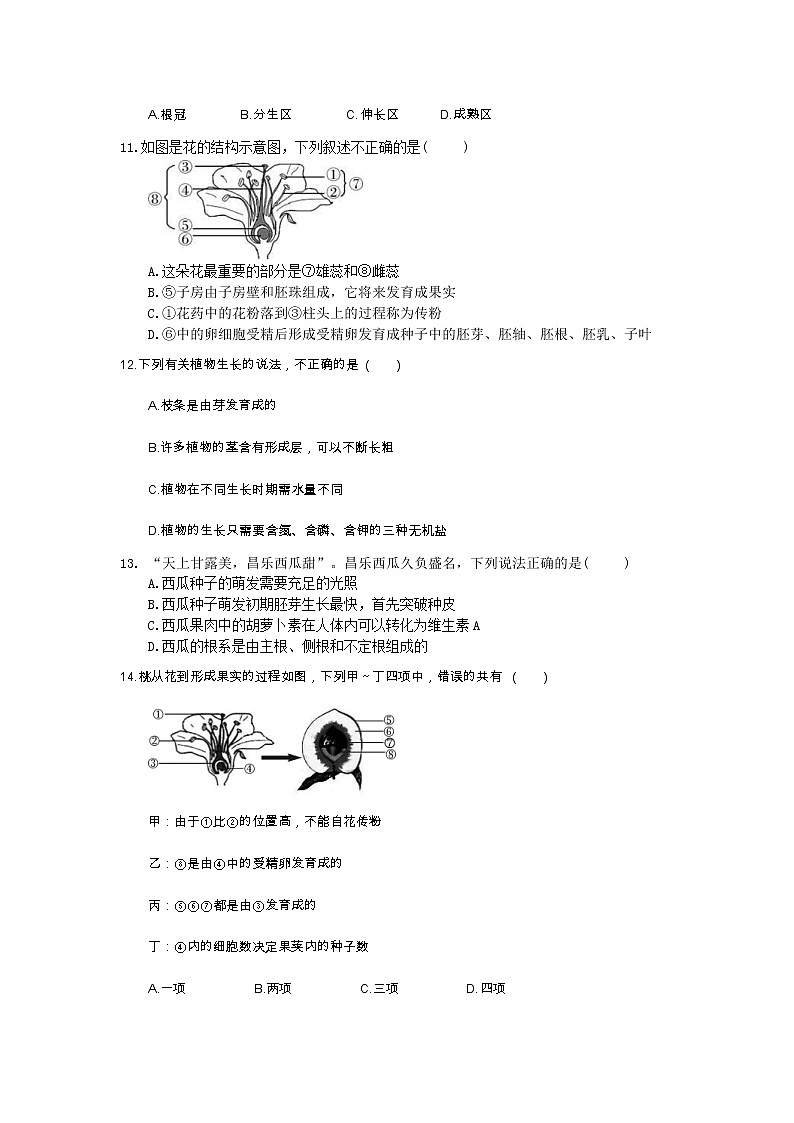 中考生物总复习06《被子植物的一生》模拟实训（含答案） 试卷03