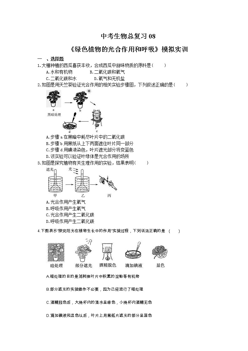 中考生物总复习08《绿色植物的光合作用和呼吸》模拟实训（含答案）第1页