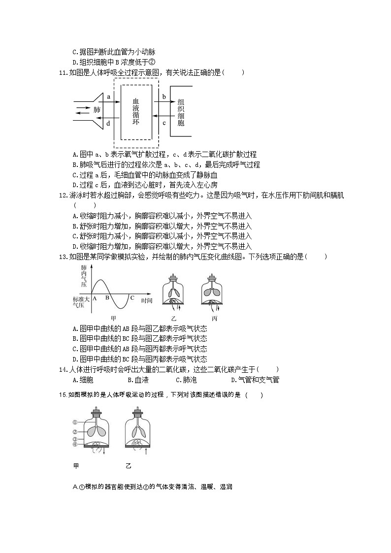 中考生物总复习11《人体的呼吸》模拟实训（含答案） 试卷03